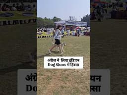 foreigner participated in indian dog show 🇮🇳🐶 #shortsfeed #trending #reels