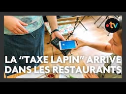 La "taxe lapin" arrive dans les restaurants