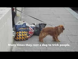 Homeless in Dystopian London | How do they make their MONEY?