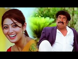 जब लड़की ने हँसी उड़ाई तो चाचा जी हो गए भावुक 😂 Raghu Babu - Brahmanandam Non - Stop Comedy