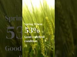 Crop Progress Report | June 9, 2025 #farmlife #news #corn #wheat #soybeans #oats