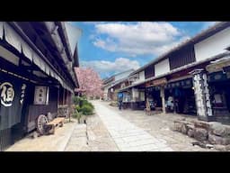 Samurai’s Trail: Ryokan Stay & Nakasendo Hike in Japan 🚶⛰️
