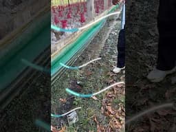 ठंडा ठंडा Cool Cool जुगाड़🥶😎 #indianfarmer #jugaad
