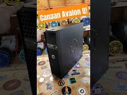 The Best Home Bitcoin Miner is Here! Canaan Avalon Q #shorts #bitcoin #crypro
