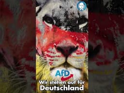 Waffen und Ukraine #krieg #deutschland #afd #frieden #europa  #politik