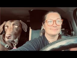 In California chasing sun and the best gluten free bagel living in my van #petaluma #travelvlog