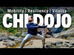 Live Qigong Class for Mobility, Resilience, & Vitality
