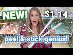 3 NEWEST Peel & Stick Miracles (on a Dollar Tree Budget!)
