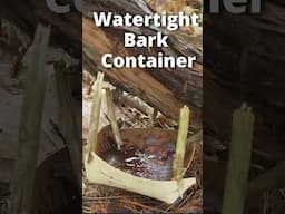 How to Get Clean Water from Grape Vines! #survival