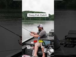 Crazy Catch