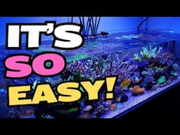 how to get crystal clear water in your saltwater fish tank FAST