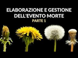 Elaborazione e gestione dell'evento morte - con Andrea Boni, Roberta Colonna e Alessandra Corà