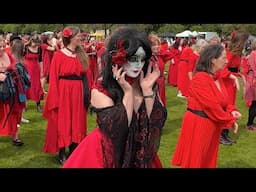 How many Kate Bush can you fit in the Meadows, Edinburgh. Scotland?