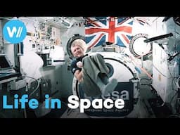 The bizarre life of an astronaut: the joys and dangers of life in space (Full Documentary)