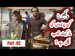 lalukhet sunday birds market Part:02 latest update 13-04-2025 | All birds Price 2025