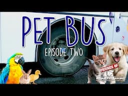 PET BUS - Episode 2 (Friends of Animal Pet Rescues)