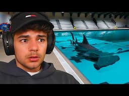 Facing my fear of the ocean...