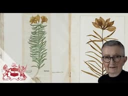 Plant Specimens Aren’t Flat | The Many Dimensions of Herbaria