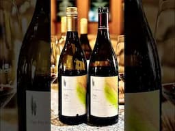 Cork vs. Screw Cap: I Was Shocked Which Wine Tasted Better!