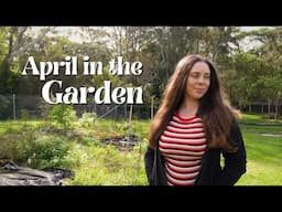 The Worst My Garden Has Ever Looked... And Plans to Change It 🌿 April Garden Tour
