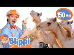 Blippi Rides a Camel?! Desert Fun in Abu Dhabi!🐪 - Blippi | Educational Videos for Kids