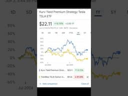 YieldMax TSLA Option Income Strategy ETF TSLY vs Kurv Yield Premium Strategy Tesla TSLA ETF TSLP