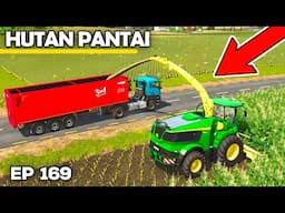 GOING EARLY WITH THE MAIZE | Farming Simulator 25 - Hutan Pantai | Episode 169