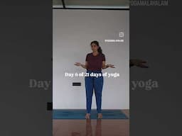 Day 6 of 21 days of yoga practice, Vrikshasana, standing balancing pose, improve your memory