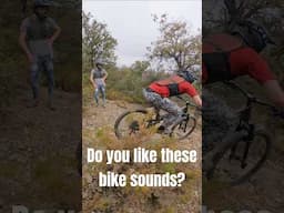 Do you like MTB sounds? I love the sounds of enduro bikes flying down the trails 👌🙏 #mtb #bikesounds