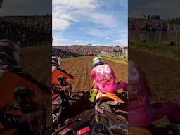 WILD Start at MXGP of France