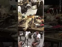 Testing Baby T-Rex Animatronics for The Lost World: Jurassic Park (1997)