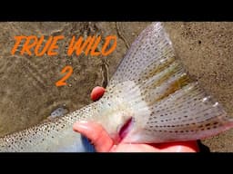 True Wild 2 - A Season Chasing BIG Wild Steelhead