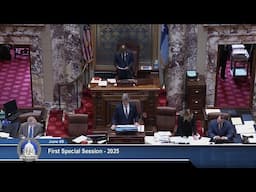 Special Session - Senate Floor Session - Part 1 - 06/09/25