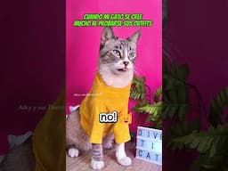 CC mi gato se prueba camisitas y ya cree que tiene mucho FLOW! 🐱✨