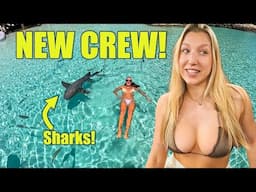 She Joined the Crew… Then We Swam with Sharks! 🦈🐷 | Sailing Bahamas