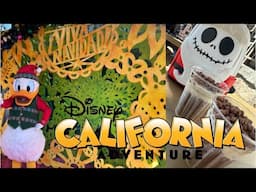 Disneyland Vlog Part 2 | Holiday Activities and Snacks at Disneyland | World of Color at DCA