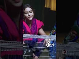 De Kop | দে কোপ #shorts #eaglemusic #eagleteam