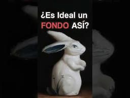 ¿Cómo Elegir el Fondo PERFECTO Para Tus Pinturas?