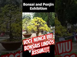 A Exposição de Bonsai de Flores mais Linda do Mundo #shorts