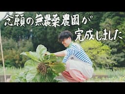 【自然農】30歳田舎暮らしが無農薬・無肥料で甘くて美味しい野菜ができる畑をゼロから作りました #257