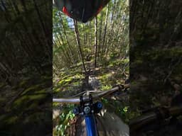 gnarliest trail on the north shore?
