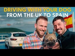 Taking Your Dog from the UK to Spain (via Brittany Ferries)