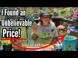 CHEAP HURRY-How To Make Hummingbird ENDLESS Water Fountain, Solar Powered Fountain Kit for ALL Birds