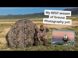 Photographing Sage Grouse, Short-eared Owls and so much more! One of the best Grouse years yet!