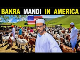BAKRA MANDI In America 🇺🇸🐐 2025 | Muslim Life In America | Bakra Eid in USA 2025