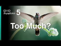 DxO PureRAW 5: Has DxO Added Too Much?
