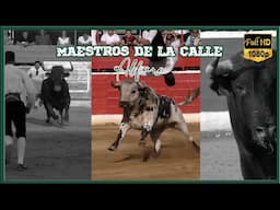 MAESTROS DE LA CALLE ALFARO (17-5-25)