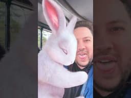 Easter Bunny 2025 🐰