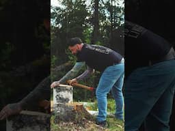 Getting the work done! 🪓🌲 #axe #axesinmotion #woodchopping Joe Price In Forests And Lands