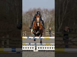 #equestrian